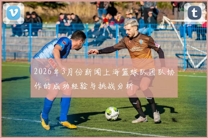 2026年3月份新闻上海篮球队团队协作的成功经验与挑战分析