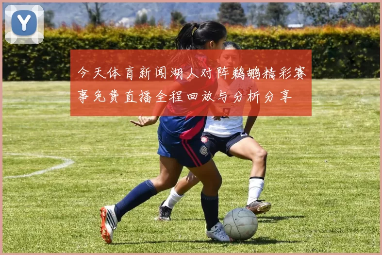 今天体育新闻湖人对阵鹈鹕精彩赛事免费直播全程回放与分析分享