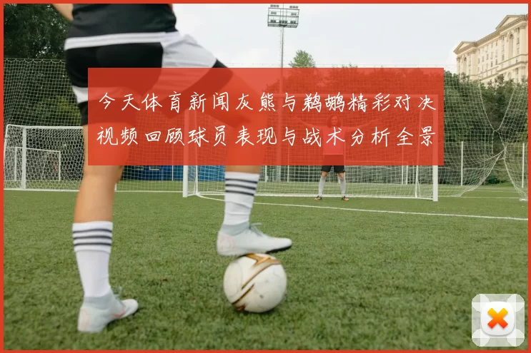 今天体育新闻灰熊与鹈鹕精彩对决视频回顾球员表现与战术分析全景呈现